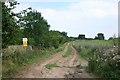 Track to Lackford Estate in IP28 6DE