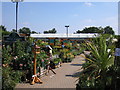 Grovelands Garden Centre in RG7 1FJ