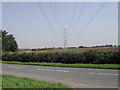 Pylons from the Caythorpe Road in NG14 7ED