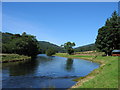 River Tweed downstream from Yair in TD1 3PS