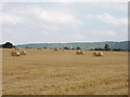 Kingston Stert - harvested cornfield in OX39 4NL