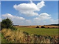 Farmland near Ogdown House, Chieveley in RG20 8UG