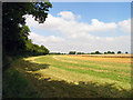 Hazelhanger Farmland in RG20 8TX