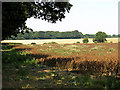 Farmland at Beedon Common in RG20 8SU