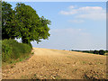 Ploughed Land along Sparrow Hill in RG20 7BY