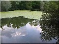 Lake at Broad Colney Lakes in AL2 1QL
