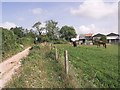 Watley Lane bridleway, with stables above Hensting Farm in SO21 1QX