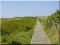 Boardwalk at nature reserve, Hoylake in CH47 4AW