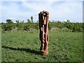 Wood sculpture in Grappenhall Wood in WA4 3EP