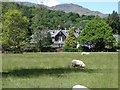 Grasmere - view towards Gibson Knott in LA22 9TD