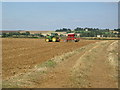 Farmland near Teigh, Rutland in Teigh