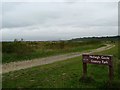 Footpath Through Hadleigh Marsh in Castle Point District (B)