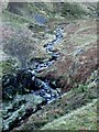 Stoneycroft Gill in Above Derwent