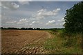 Farmland near Higham in Suffolk in IP28 6NJ