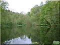 Round Dam, Skipton Woods in BD23 1LL