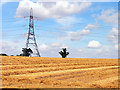 Farmland and Power Pylon, near Castle Combe in SN14 7NQ
