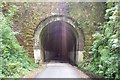 Shaugh Tunnel in PL6 7AP