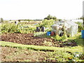 Allotments outside Thame in OX9 3JL