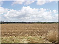 Ploughed field near Dinton in HP17 8UZ
