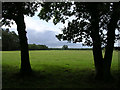 Field northeast of Hilltop House, Beaulieu, New Forest in SO42 7YT
