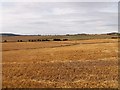 Fields looking towards Balmullo in KY16 0BP