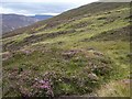 Heathery Slopes in AB35 5XX