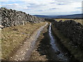 Walled track to Yarnbury in Grassington