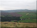 On Lantern Pike - Looking towards Little Hayfield in Sett Ward