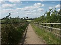 Footpath, Rightup Lane, Wymondham in NR18 9NB