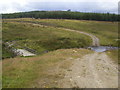 Bridge over the Allt Dubhagan in PH10 7PD