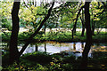 Dulverton: River Barle in TA22 9RJ