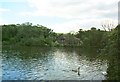 Fisher's Pond near Colden Common in SO21 1FW