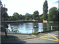 Carshalton Ponds, High Street (A232) in SM5 3QW