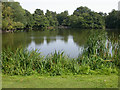 Boathouse Pond in Belton and Manthorpe