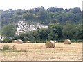 Hay Fields with the North Downs in the background in RH8 0QN