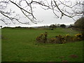 Iron-Age earthworks, Llanddewi Velfrey in SA67 7PB