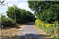 The Centurion Way cycle path near Fishbourne in Chichester West Ward