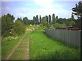 Entrance to Demesne Road Allotments, Wallington. in SM6 8LL