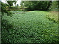 Pond at junction of Limpsfield Road and Slines Oak Road, CR6 in CR6 9QX