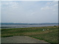 View of River Severn from Windbound Inn in BS35 1RP