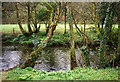 Linkinhorne: the Lynher at Rilla Mill in PL17 7NT