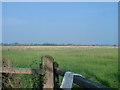 Whitacre Heath - looking NW from S edge of square in B46 2ET