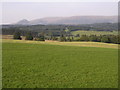 Grazing Land at Tambowie in G62 7HN