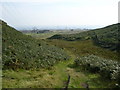 Track beside Carneddans Wood in G62 7HA