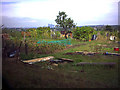 Rosendale Allotments on Knight's Hill. in SE24 9HD