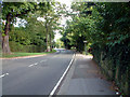 B275 Selsdon Road, Sanderstead CR2 in CR2 7BR