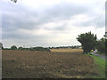 Freshly ploughed field, Dunton, Essex in SS15 6JJ