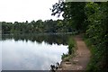 Mytchett Lake from the Basingstoke Canal towpath in GU16 6BB