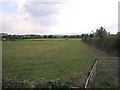 Fields near Wood Norton in WR11 4TE