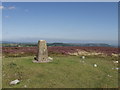 Trig point on Esclusham Mountain in LL11 3DR